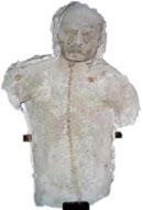 Sin título (Catafalco, 1), 2005 / Adhesión de materia orgánica a yeso / Organic matter adhered to plaster 
81 x 53 x 13 cm