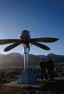 JOAQUÍN FARGAS (Argentina)
Sunflower. Centinela del cambio climático / Primera Bienal del Fin del Mundo
First End of the World Biennial / Ushuaia, 2007