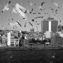 Ernesto Javier Fernández Zalacaín Toma de la Habana II, 2007 Impresión digital / papel Luster Epson 3x 89,5 x 89,5 cm. Ed. P.A