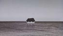 Jorge Mayet
Art  projet. Deseo, 2010 / Instalación / Installation