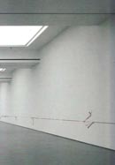 127 cuerpos, 2006 / Fibras de hilo y sangre / Dimensiones variables Thread and blood fibers / Variable sizes
