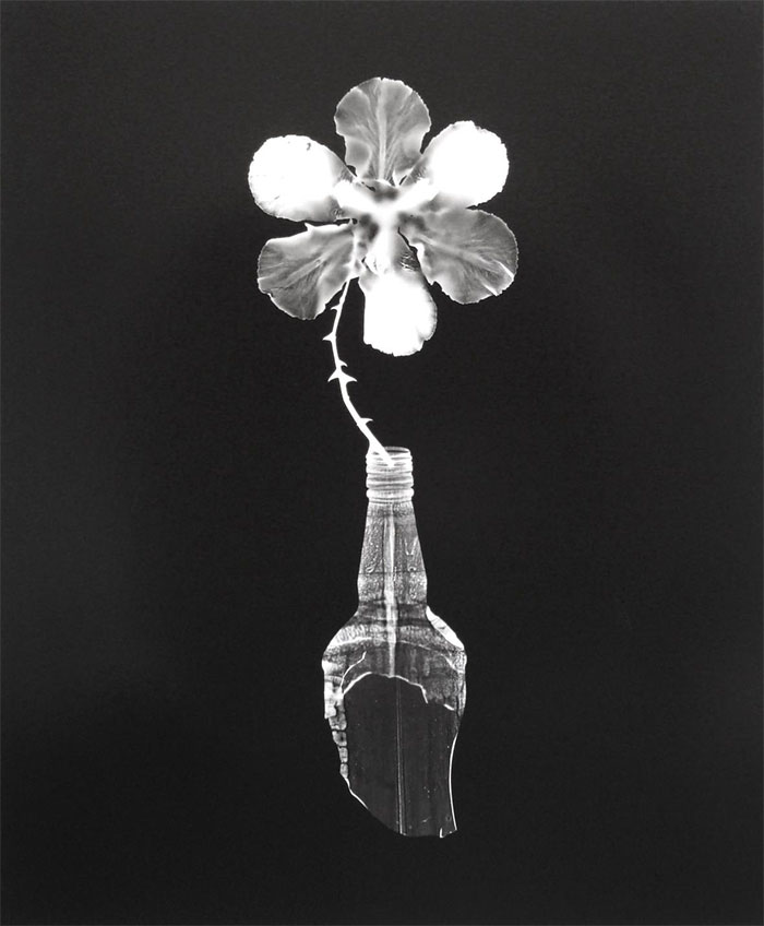 flor en botella rota- obra de arte 