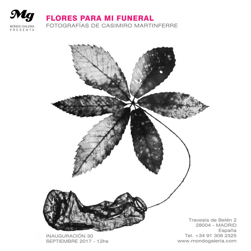 invitación con obra de arte- flor