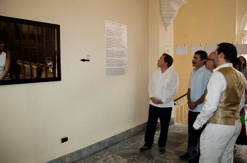 personas observan obras de arte expuestas