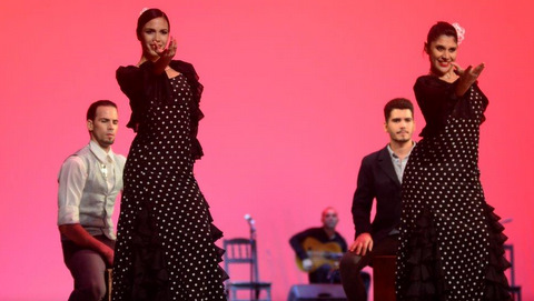 bailarines de flamenco en escena