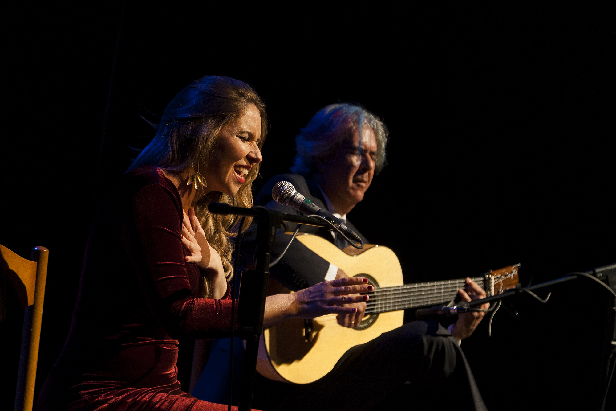 artistas en concierto 