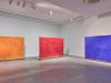 exhibition by Javier Barilaro