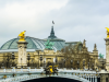 Gran Palais  sede Art Basel Paris